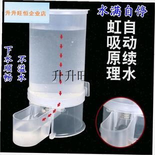 款鸽子饮水器自动喂食下料器小鸟喝水J杯芦丁鸡饮水槽小鸡喂水壶,