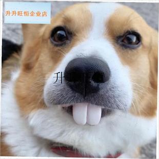 物柯基狗c狗假牙玩具搞笑恶搞狗子土拨鼠兔子大门牙假牙套整人,