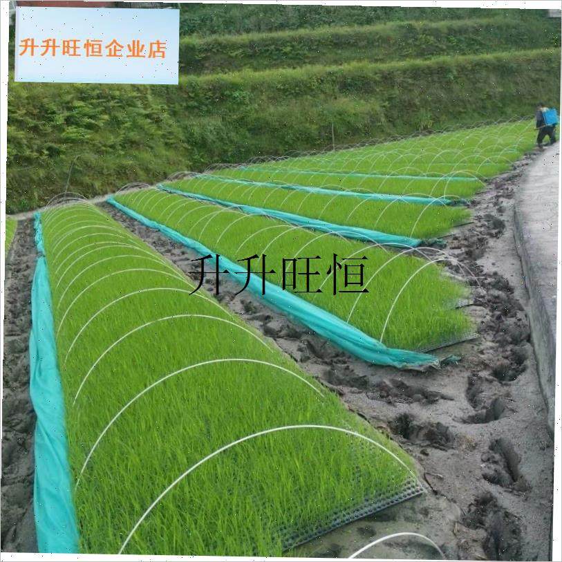 棚支架温室育苗塑料大棚弯管玻璃钢地膜搭棚弹S力棒冬季园艺弓子,,农机/农具/农膜,温室大棚支架,淘宝优惠券,粉丝福利购,淘宝优惠卷