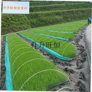 棚支架温室育苗塑料大棚弯管玻璃钢地膜搭棚弹S力棒冬季园艺弓子,