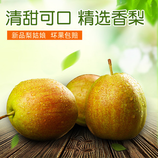 山东阳信七号媚梨新梨早酥库尔勒杂交无渣香梨酥脆香梨纯现摘包邮