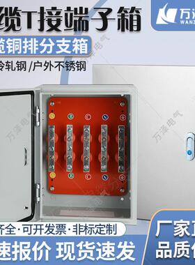 矿物电缆T接箱铜排分支接线端子分流箱bttrz国标等电位转接转换箱
