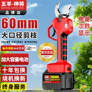 电动剪刀充电式园林果树锂电修枝剪电剪刀树枝修剪专用剪枝神器