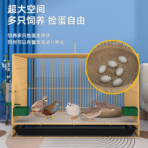 养芦丁鸡笼子饲养专用笼家用室内大号雏鸡雏鸭小鸭小鸡宠物笼加密