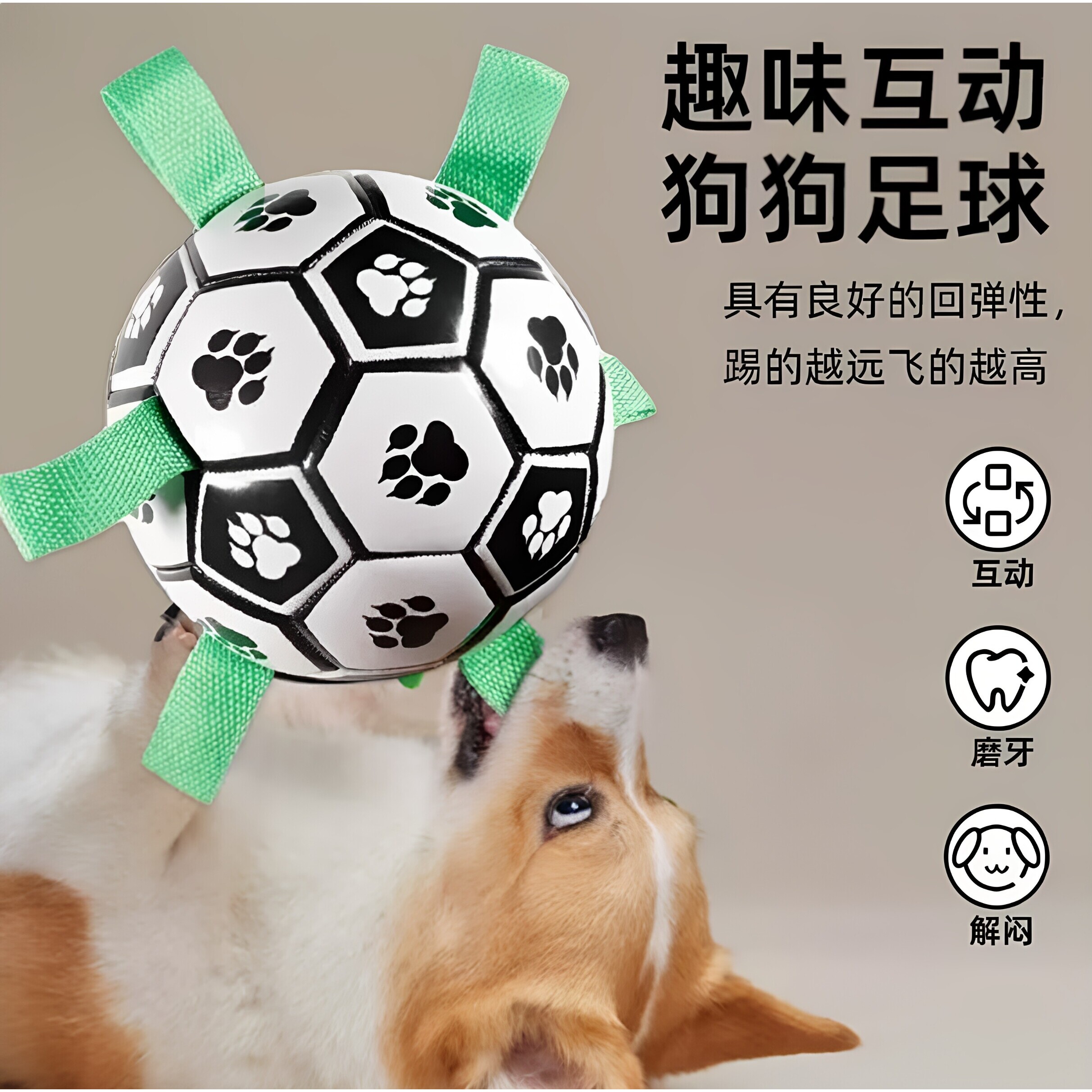 狗狗足球宠物玩具训练专用中小型犬边牧金毛拉布拉多解闷自嗨互动