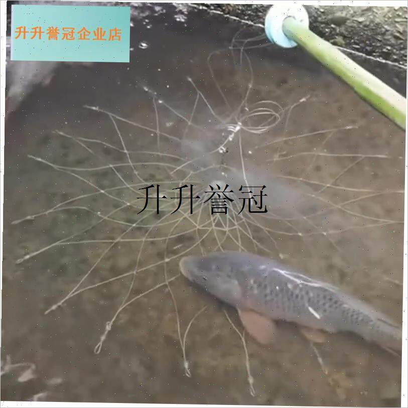 钓鱼神器黑科技打窝自动开合大闸C蟹笼子钓龙虾专用懒人捕蟹杆工,