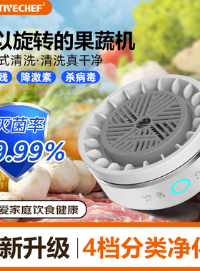 CREATIVECHEF果蔬清洗机去农残自动洗菜机蔬菜净化器杀菌消毒神器