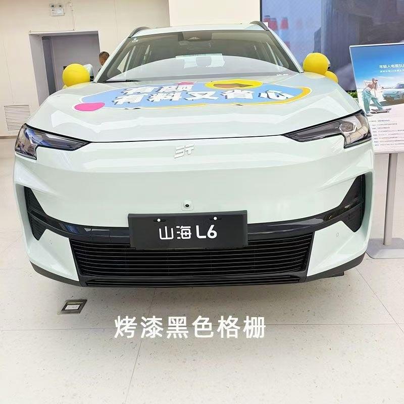 2024款山海L6水箱防虫网前来年中网外观改装件装饰汽车用品配件