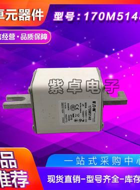 170M5158170M5159170M5160170M5161170M5162170M5163熔断器