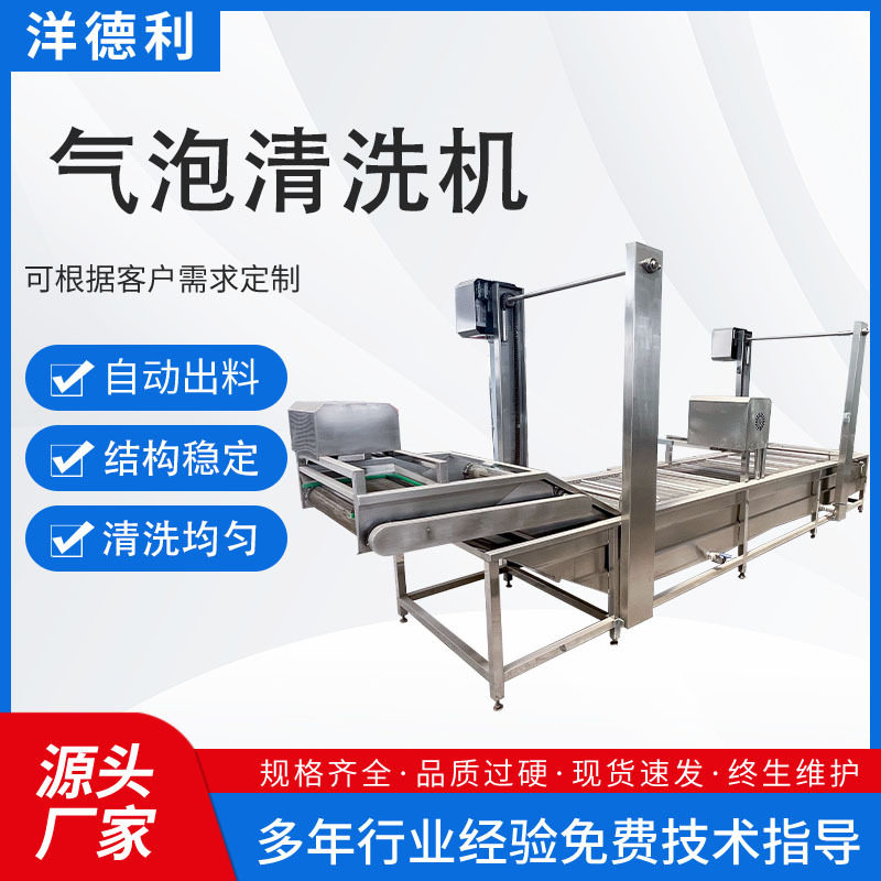 桂圆肉气泡清洗机鲜花生净菜全自动设备香菇气泡清洗风干流水线