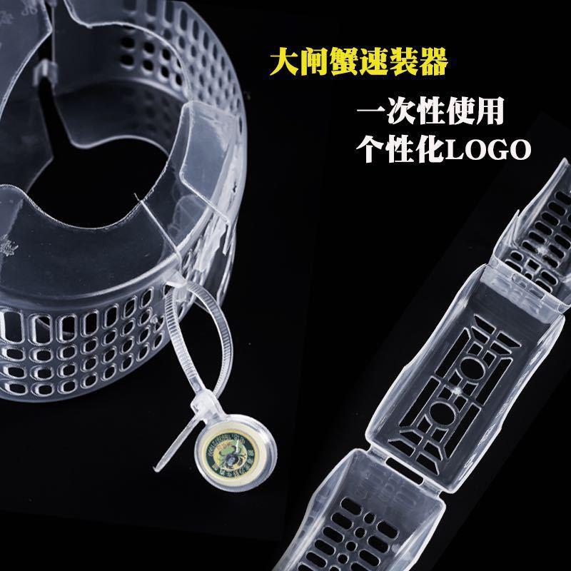 6--8两大闸蟹速装器大闸蟹速装器蟹之家速装器梭子蟹包装盒