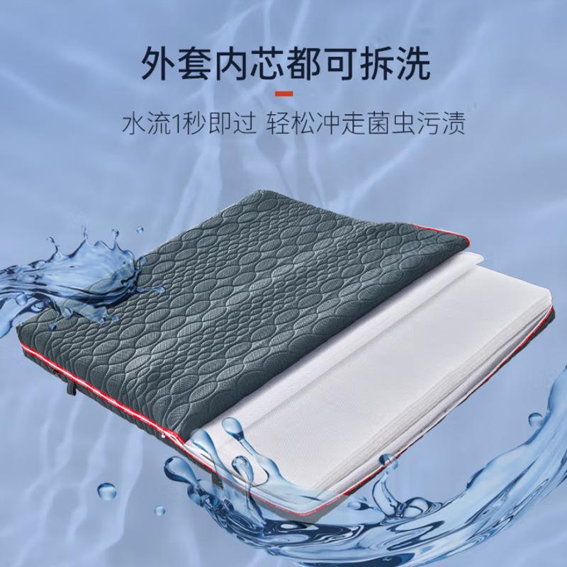 德国全3d床垫纤维丝4D5D可水拆洗透气偏硬护腰脊席梦思薄加厚