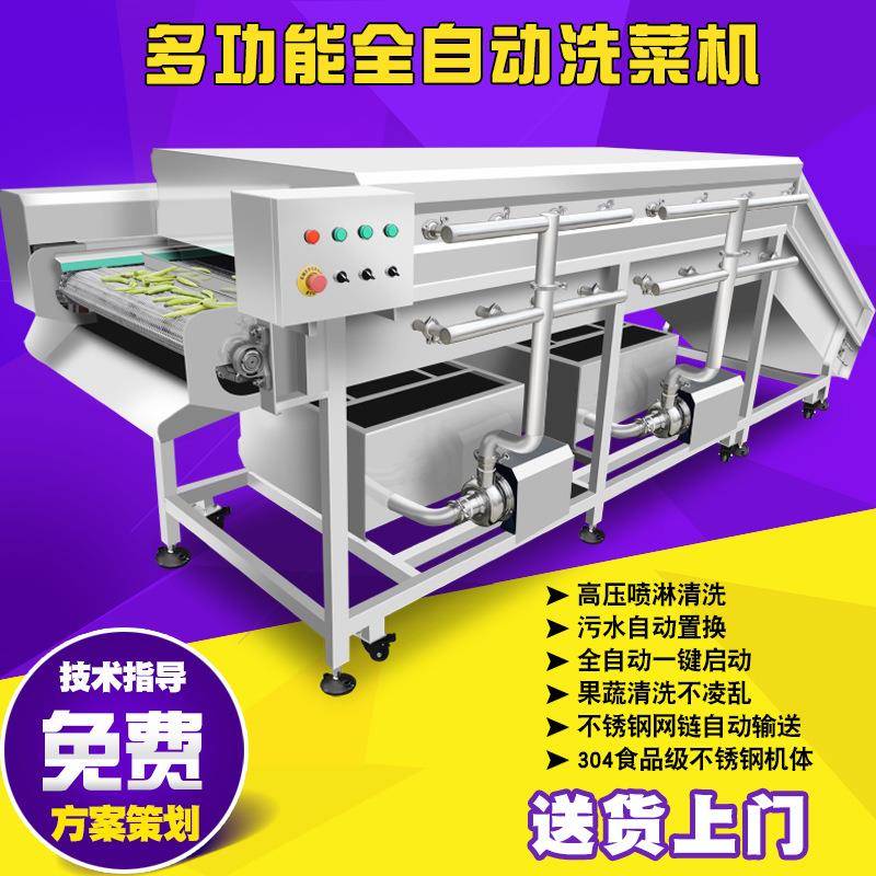 叶类菜喷淋清洗机高压龙宫果清洗机连续式万年青菜心清洗线