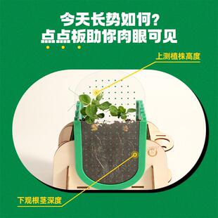 儿童种植根系生长观察窗幼儿园小盆栽发芽迷你小植物种菜种花盒
