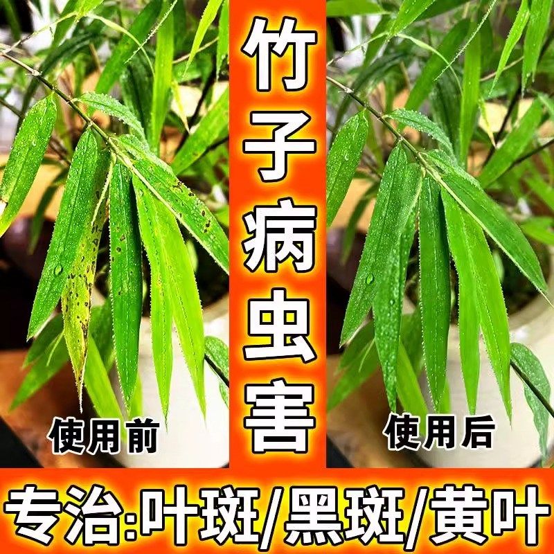 竹子专用肥料叶子发黄黑斑病卷叶掉叶真菌小叶簕竹子类专用营养液,鲜花速递/花卉仿真/绿植园艺,家庭园艺肥料,淘宝优惠券,粉丝福利购,淘宝优惠卷