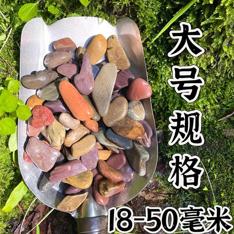 原生缸超细溪流沙造景装饰专用底部砂石子摆件天然雨林沙乌龟鳑鲏