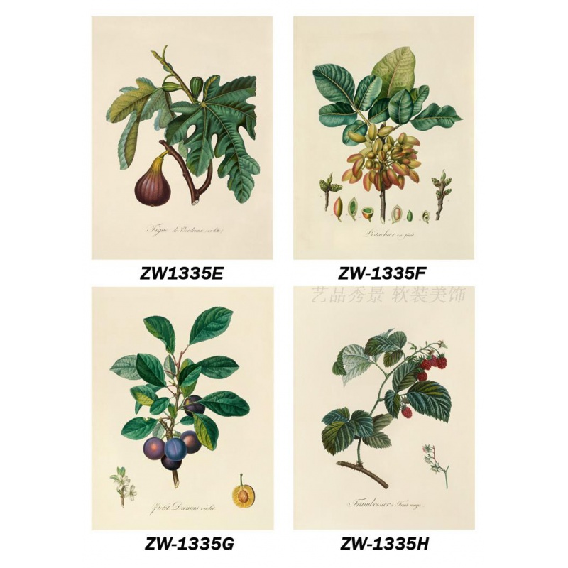 美式小清新植物装饰壁画画心北欧水果图鉴客厅餐厅画芯无框画画布图片