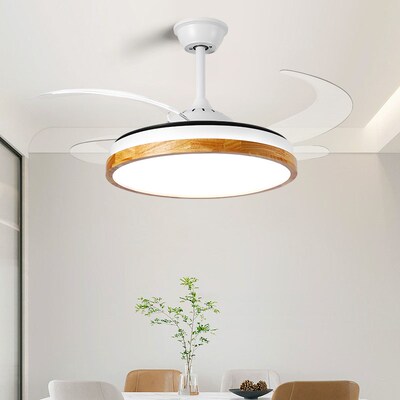 原木餐厅风扇吊灯实木客厅卧室书房灯新中式2024新款一体中古灯具