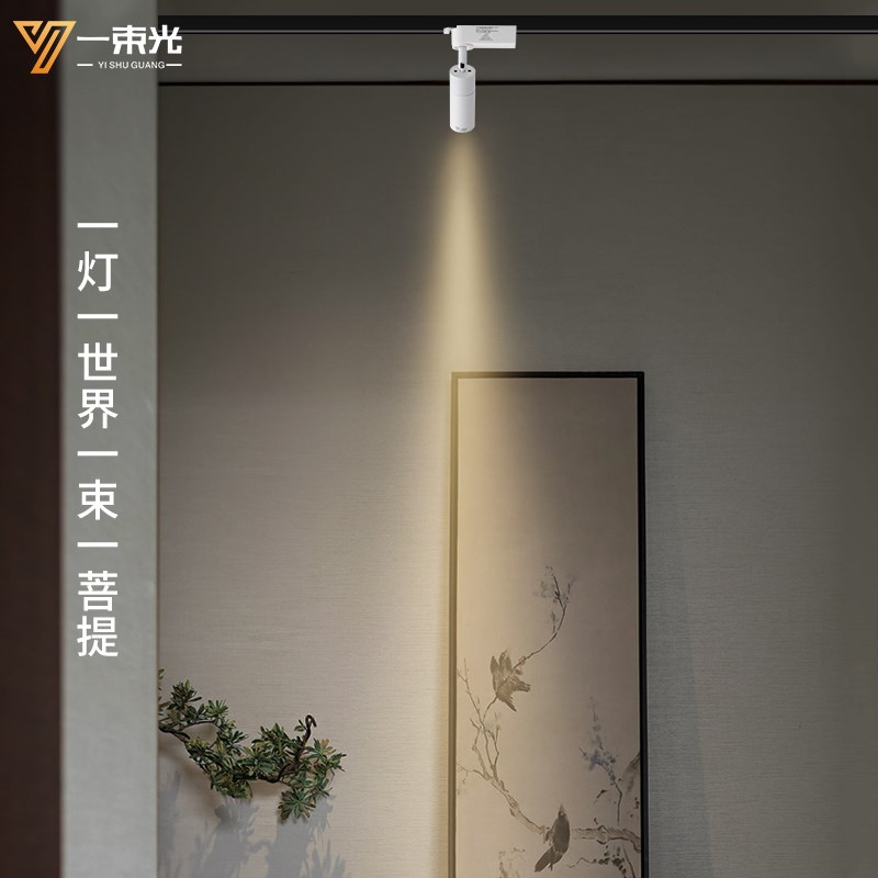 一束光聚光射灯三线轨道灯明装客厅茶室艺术饰品博物馆氛围餐饮灯