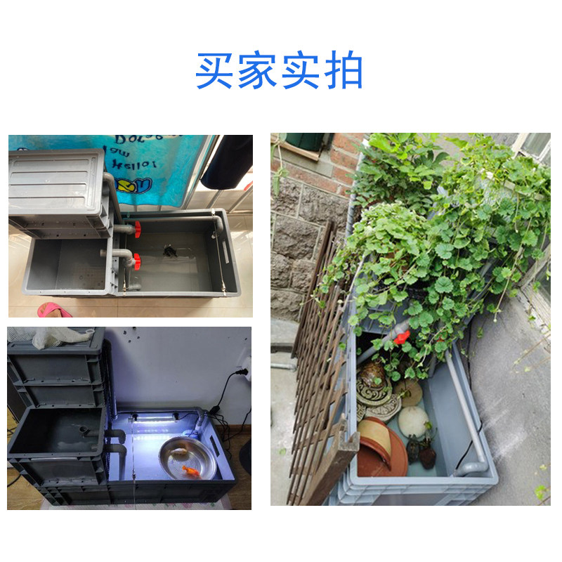 乌龟箱过滤箱周转箱家用鱼龟混养缸过滤器免换水过滤盒箱整套循环