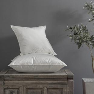 极速跨境出口酒店鹅毛羽绒抱枕头C全棉沙发腰靠枕芯床上靠垫内芯