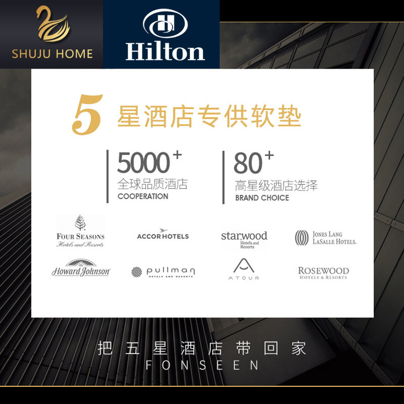 新品10cm五星级酒店超柔软床垫软垫加厚1.8垫被家用1.5.床褥垫宾