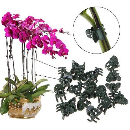 新品20Pc Plastic garden uclip Special clip for Phalaenopsis