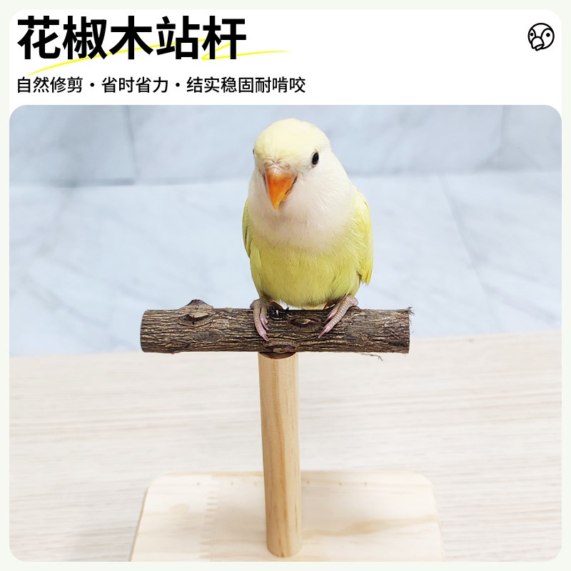 极速鹦鹉互动实木训练架桌面摇摇乐娱乐站架玄凤牡丹Y虎皮宠物用