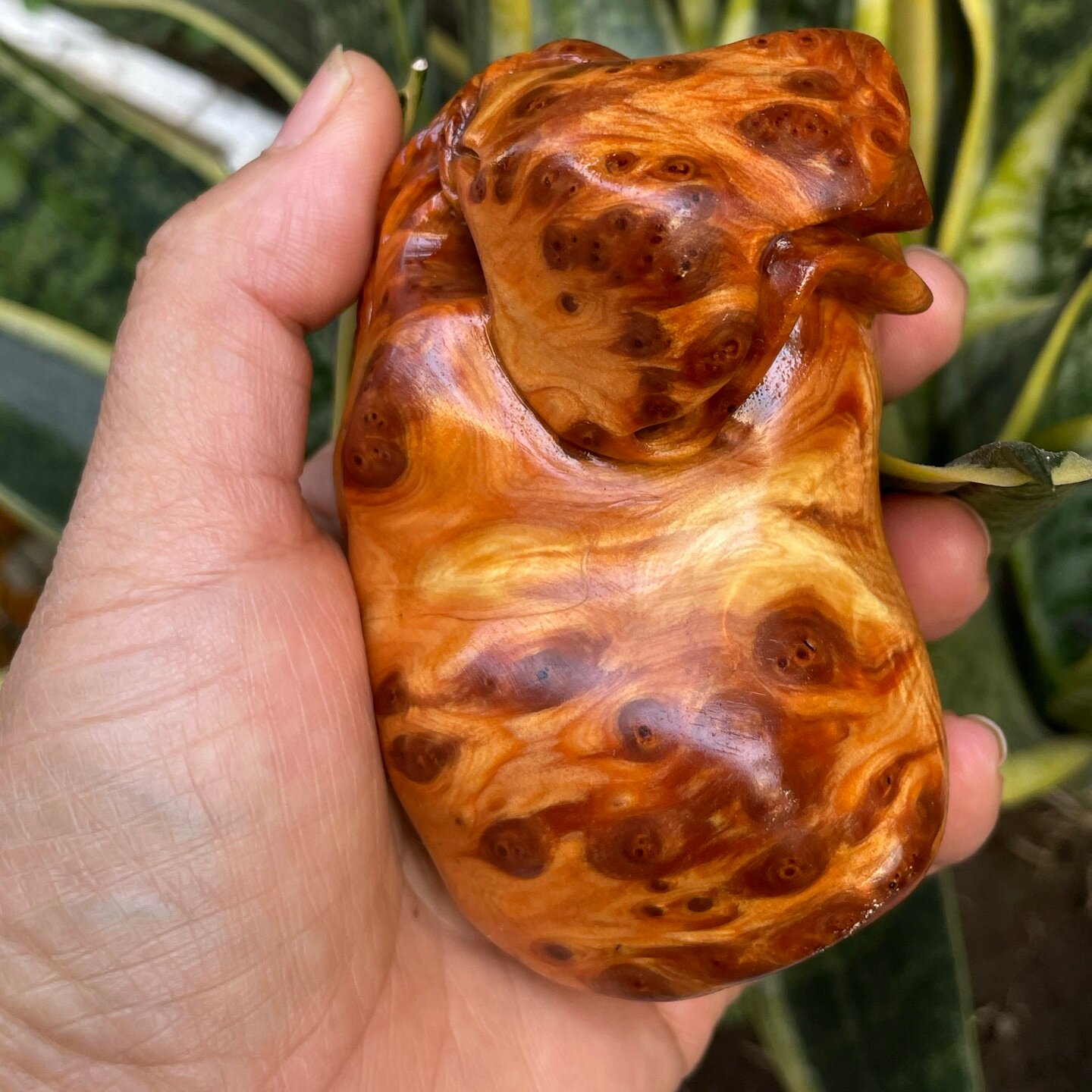 太行崖柏满瘤花随行手把件随型瘤疤把件木雕随行挂件崖柏老料子