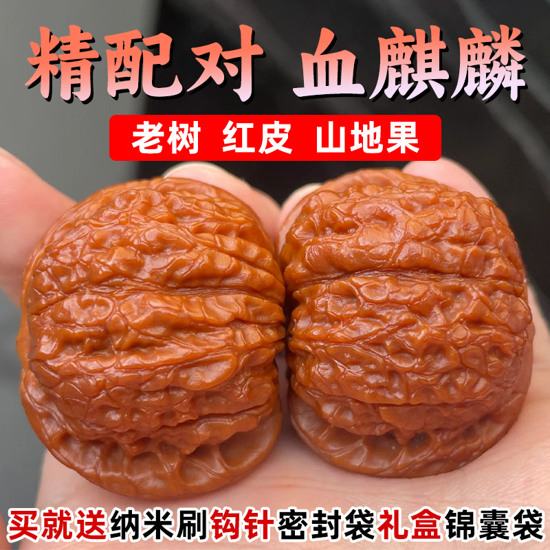 山中玉血麒麟文玩核桃送全套工具