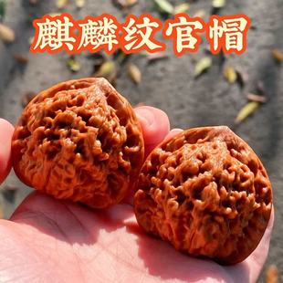 老树文玩核桃精品王勇麒麟纹大官帽原色高抛大尺寸男女盘玩手把件