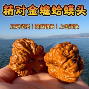 老树文玩核桃文玩金蝉蛤蟆头天然收藏精品配对生日礼物男手把件
