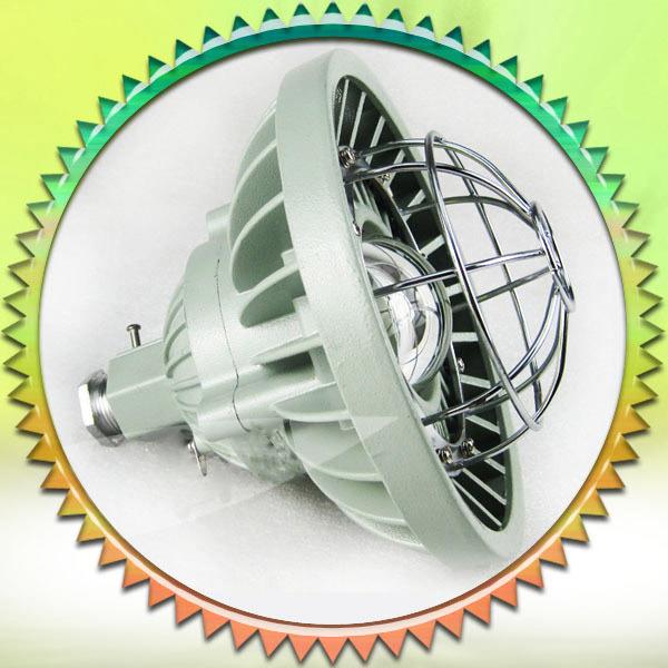 110AW24V/36VLED防爆灯led30W加油站仓库防腐灯外壳EXD