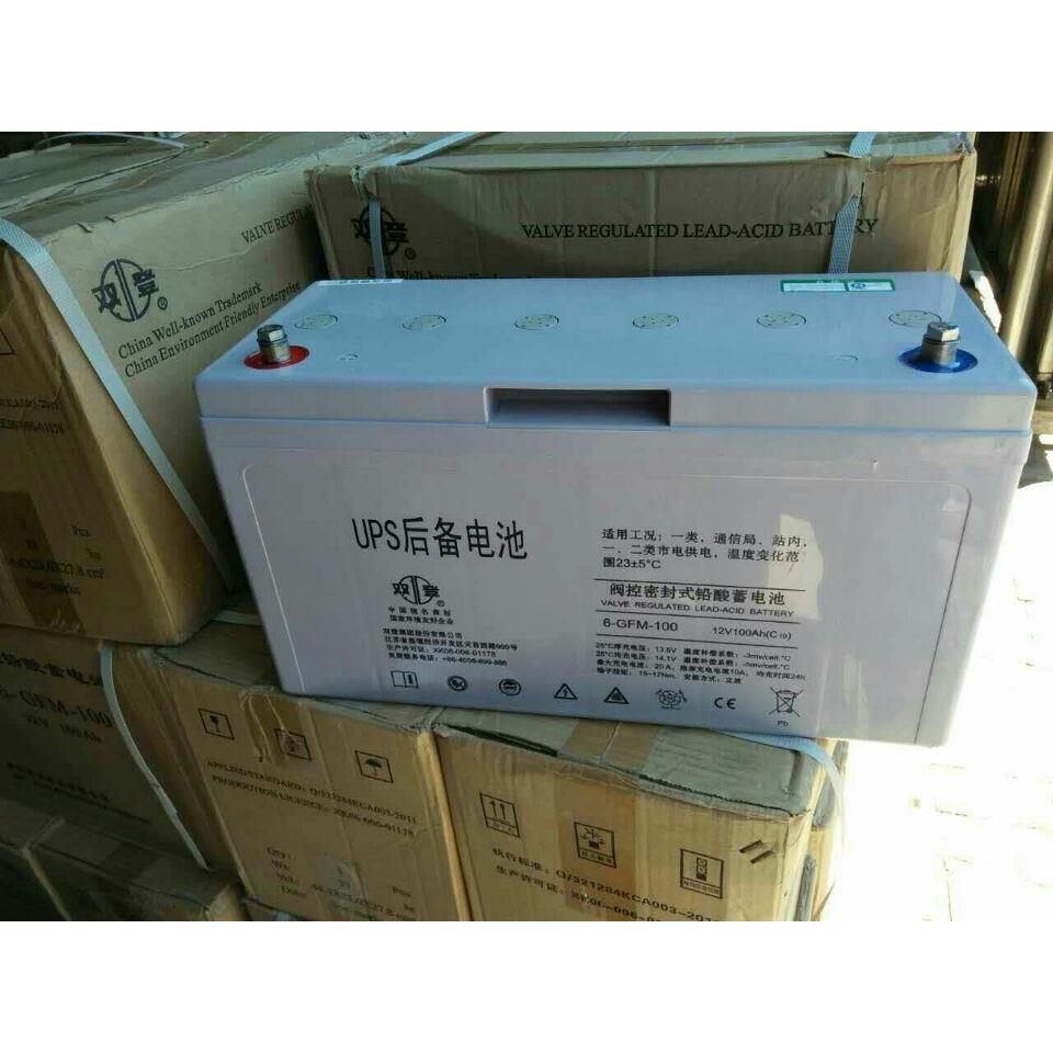 双登蓄电池6GFM10012V100Ah双登电池直流屏/UPS电力