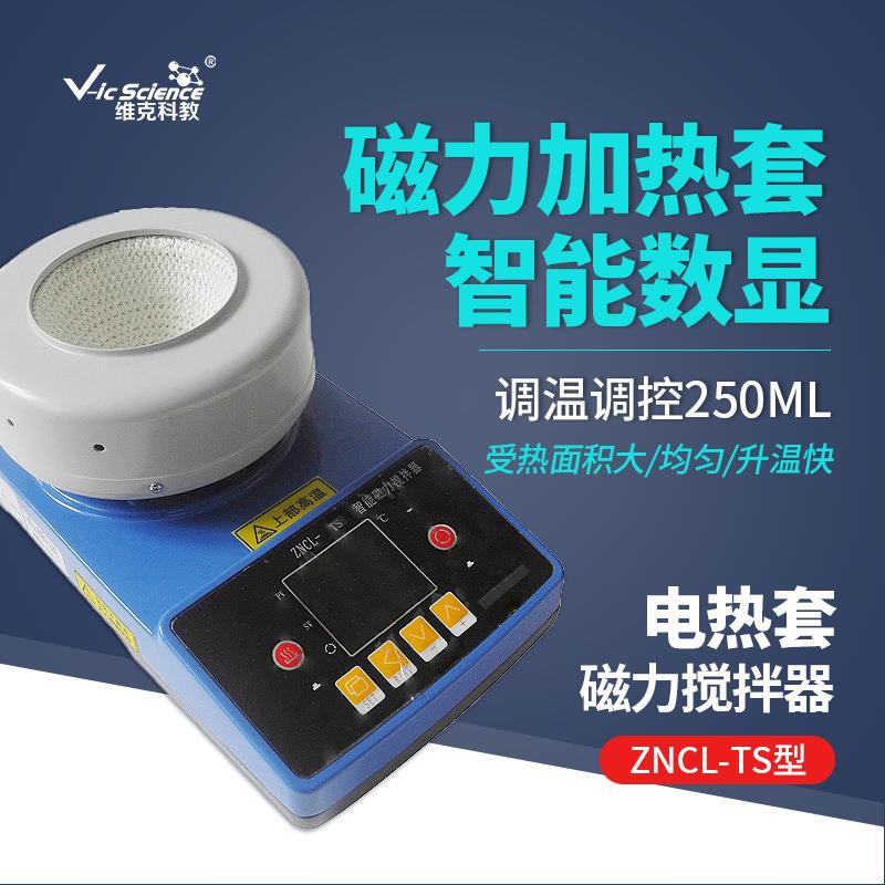 磁力搅拌器ZNCL-TS智能数显磁力加热套调温控温电热套250ml