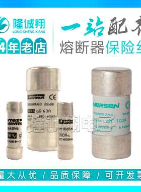 【熔断器保险丝】FR22AM69V16P W211044 FR22AM69V20P W212079
