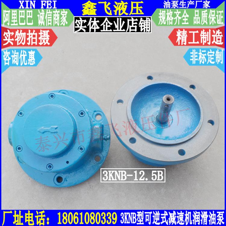 3KNB-12.5B可逆式摆线齿轮油泵双向供油润滑泵减速机油泵