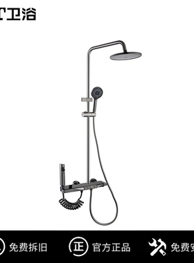 T&T卫浴家用淋浴花洒套装卫浴花洒头淋浴沐浴枪灰色淋浴器11096