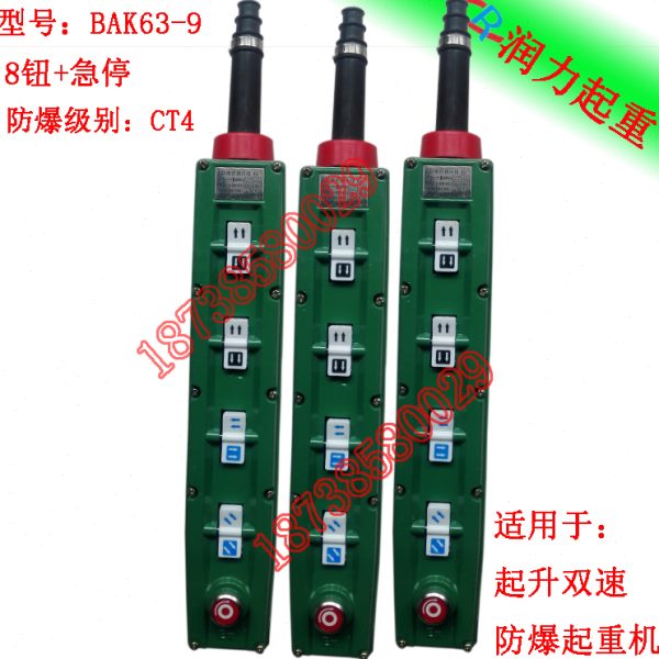 BAK63-3/5/7/9/11/15 BT6CT4新黎明防爆控制按钮铝壳防爆控制手柄