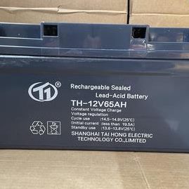 台洪蓄电池TH-12V100AH65A40A24A17A150A200AH直流屏UPS/EPS电源