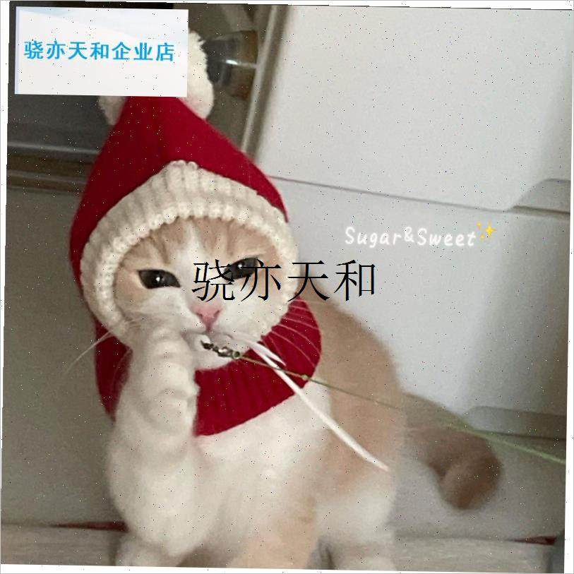 l犬新年小红帽g宠物猫咪狗金毛美短毛线帽子衣服圣诞生日拜年过年,宠物/宠物食品及用品,帽子,淘宝优惠券,粉丝福利购,淘宝优惠卷
