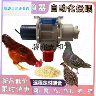 l国进口鸽子鸡鸭全自动喂食器宠物定时智能自动下U料投喂神器养殖