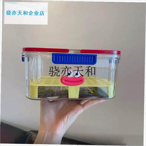 l龟饲养缸粪S便分离养龟苗盒子手提便携式发色盒育苗盆防逃带排水
