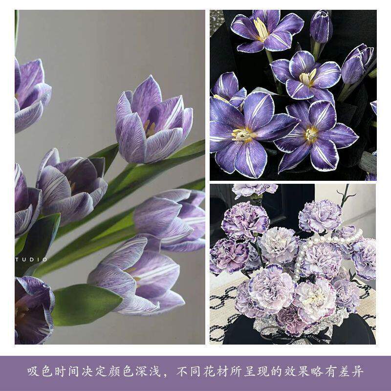 鲜花吸色剂染色剂吸染吸色剂布朗尼花研色花店专用环保不伤花期