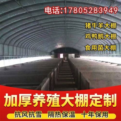 极速养殖大棚骨架钢管养牛猪舍羊圈鸡舍养鸡场鸡棚椭Y圆U管大棚全