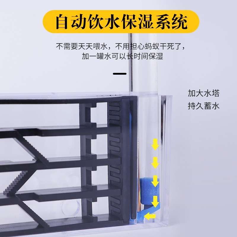 极速仿生蚁巢日本弓背蚁收获蚁新B手蚂蚁工坊蚂蚁城堡宠物蚂蚁亚,节庆用品/礼品,路引,淘宝优惠券,粉丝福利购,淘宝优惠卷