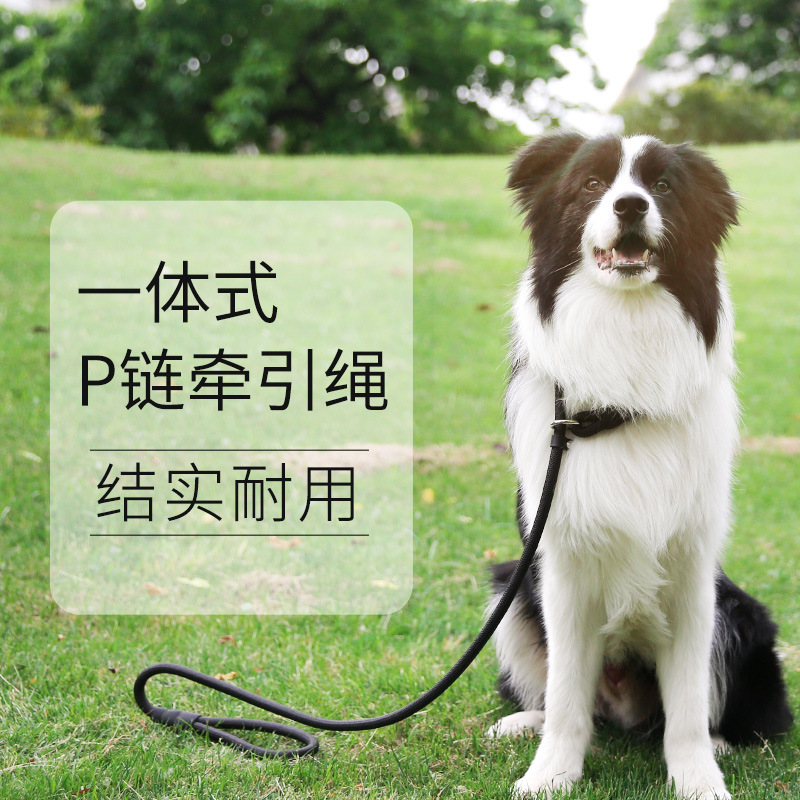 极速狗狗训犬牵引绳窒息绳小中型犬宠物训M练P链金毛拉布拉多牵引