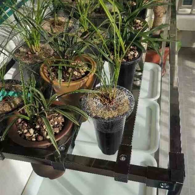 极速精品202不锈钢方管兰花架方管兰架可调节可移动送托Za盘万向