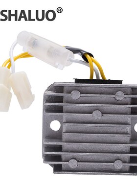 极速。178 186F 10A永磁飞轮柴油发电J机充电调节器AVR自动家用型