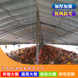 极速温室大棚骨架钢管定制养殖大棚蔬菜大棚农业钢架草Z莓棚热浸